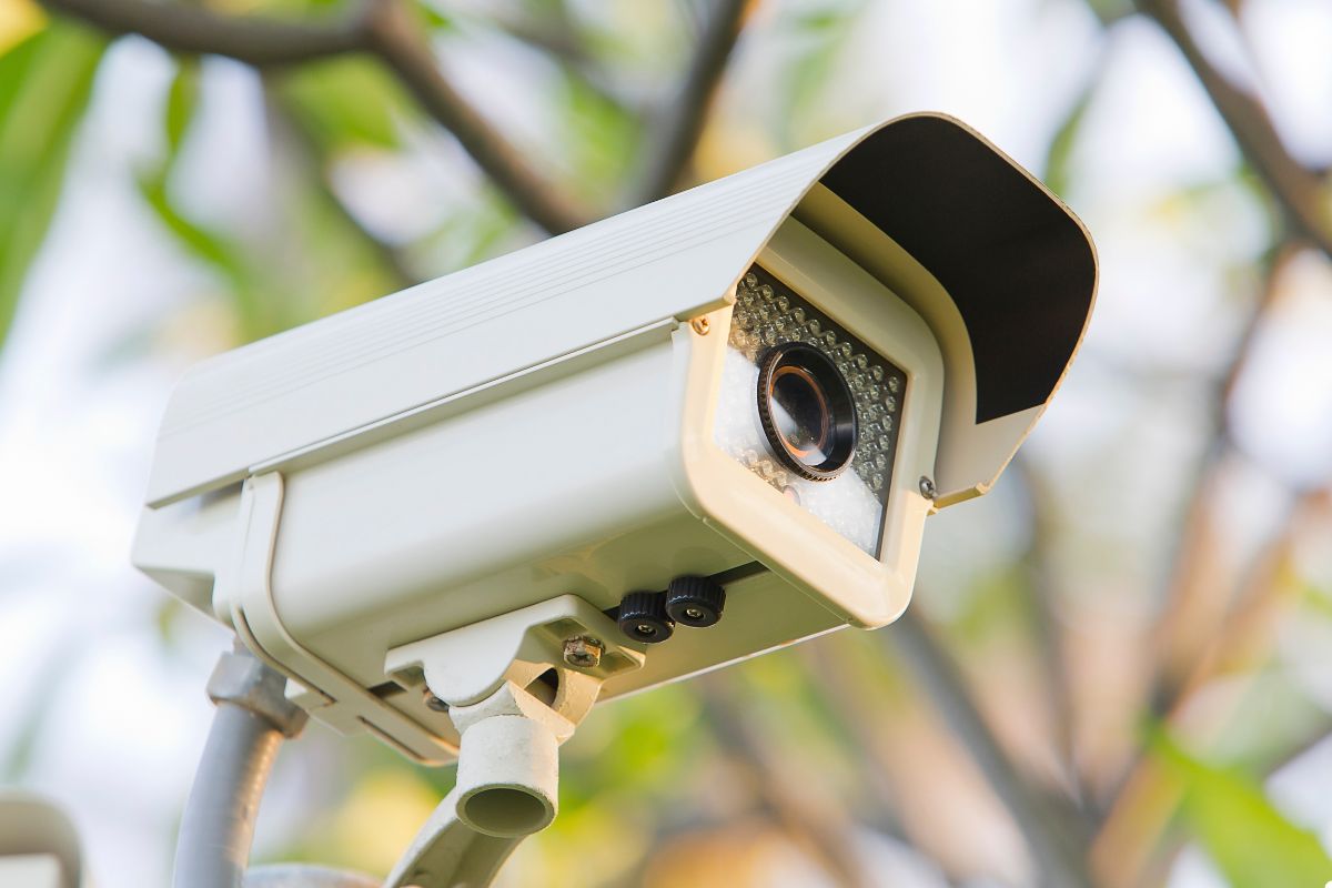 A security camera positioned in front of a tree, monitoring the surrounding area for safety and surveillance purposes.